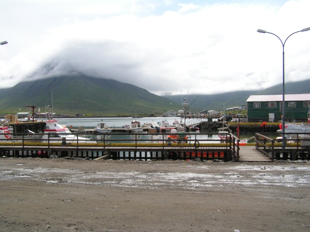 pict3195.jpg