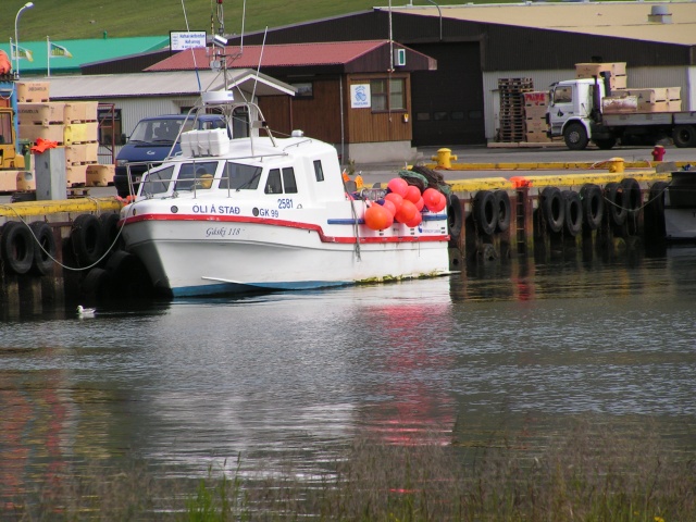pict3199.jpg