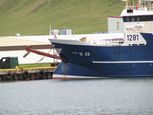 pict3202.jpg