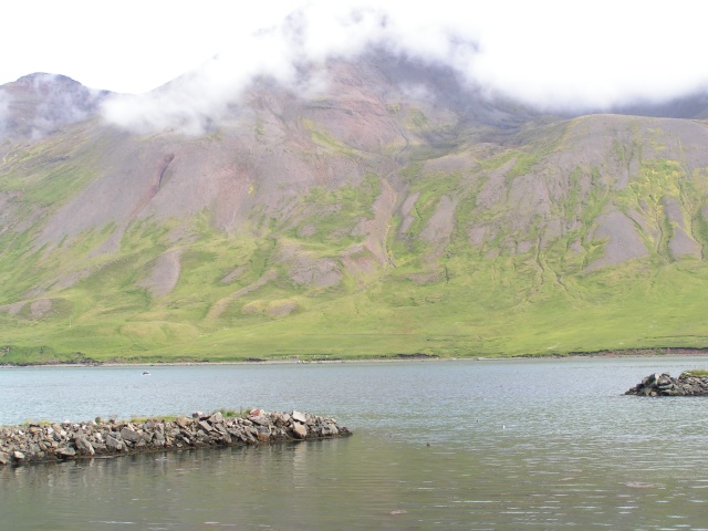 pict3208.jpg
