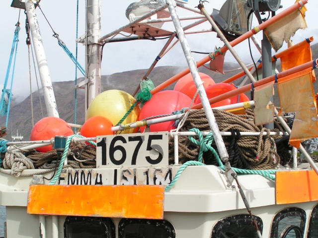pict3211.jpg
