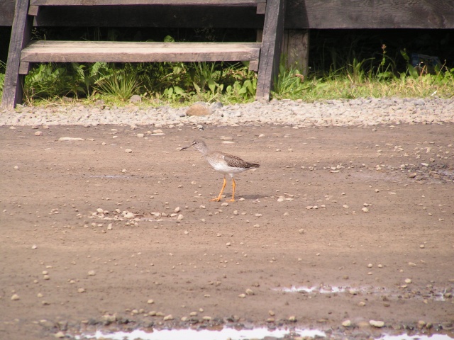pict3234.jpg