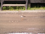 pict3234.jpg