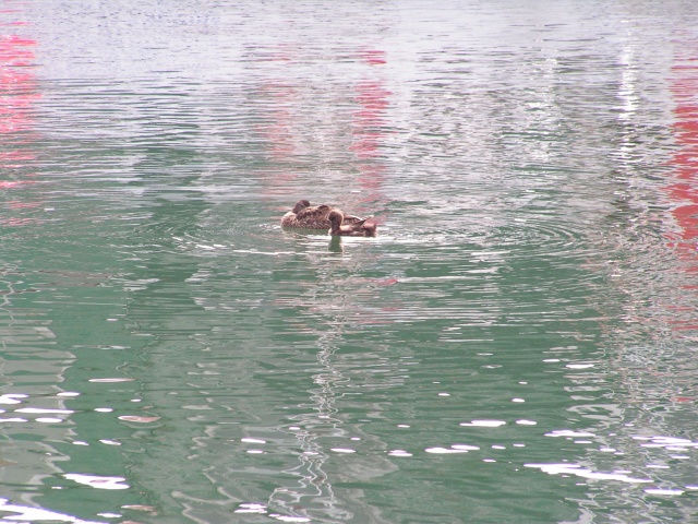 pict3238.jpg