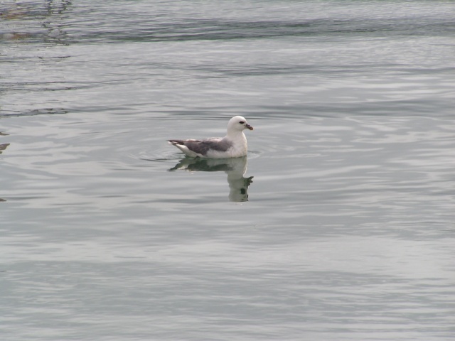 pict3243.jpg