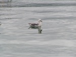 pict3243.jpg