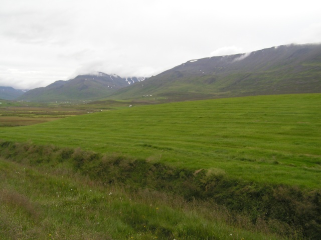 pict3249.jpg