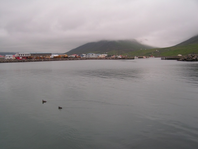 pict3257.jpg
