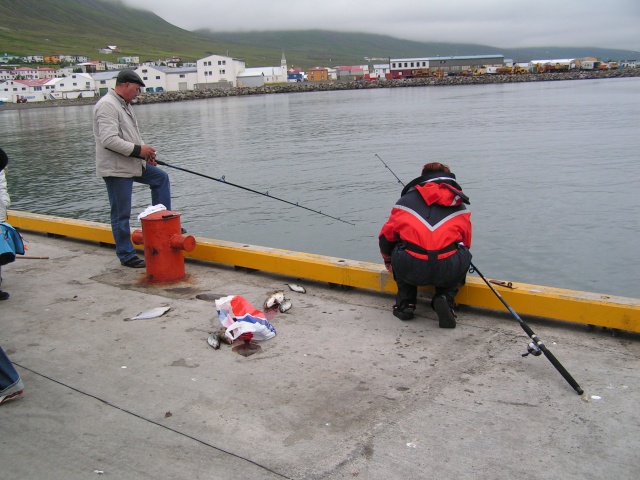 pict3261.jpg