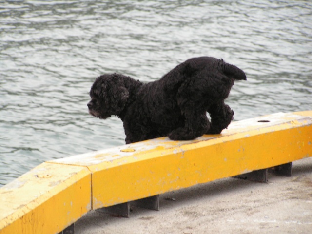 pict3263.jpg