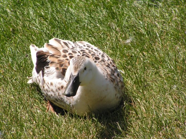 pict3328.jpg