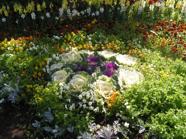pict3330.jpg