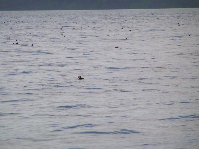 pict3400.jpg
