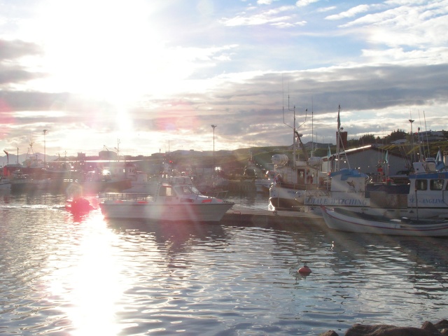 pict3409.jpg