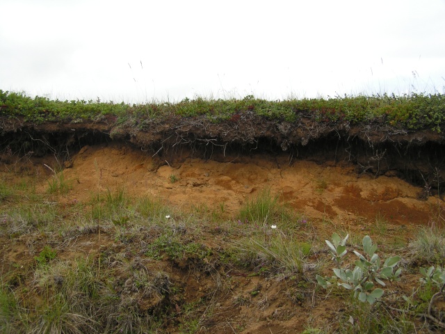 pict3447.jpg