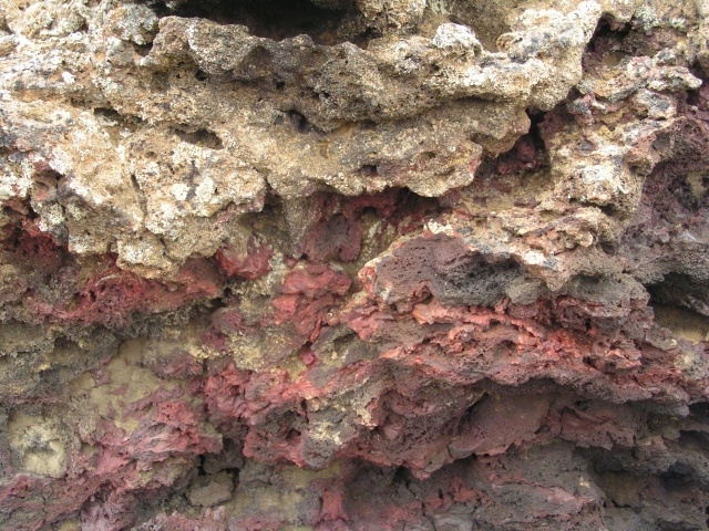 pict3461.jpg