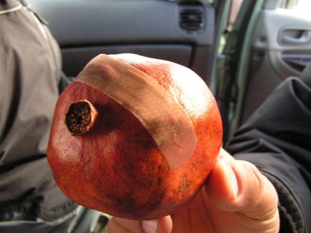 pict3500.jpg