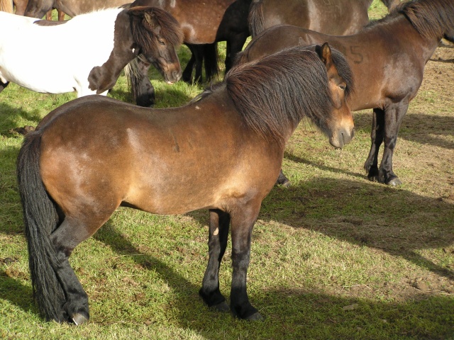 pict3507.jpg