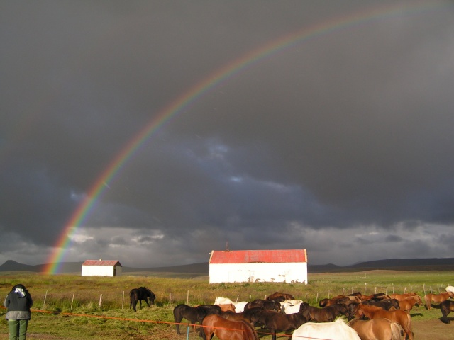 pict3511.jpg