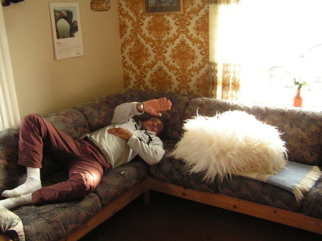 pict3522.jpg