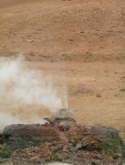 pict3530.jpg