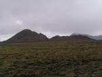 pict3542.jpg