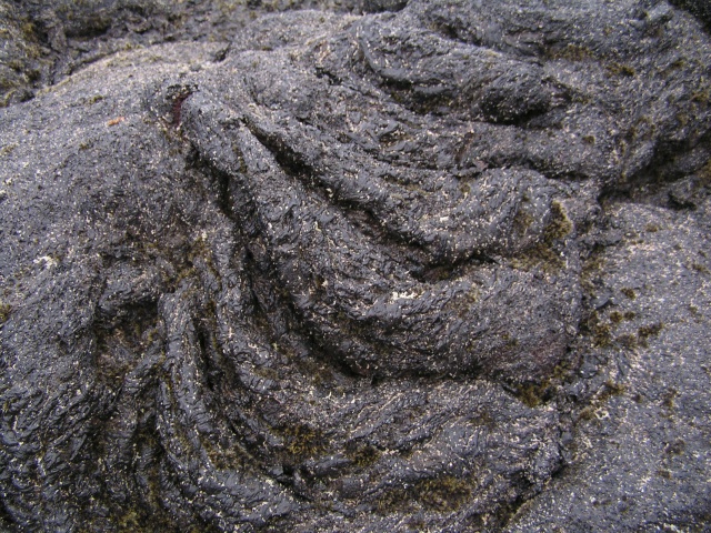 pict3557.jpg