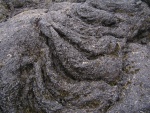 pict3557.jpg
