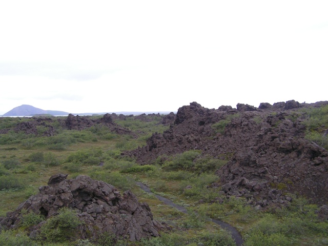 pict3601.jpg
