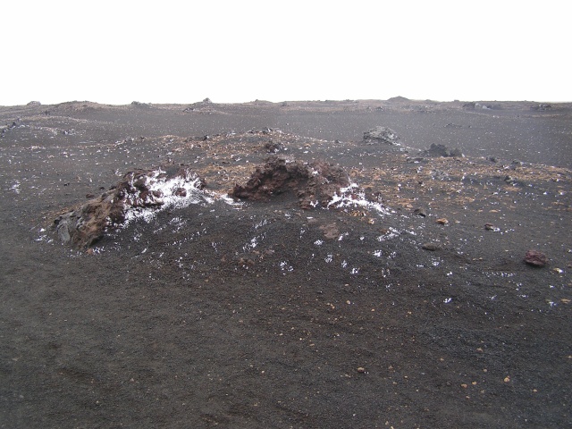 pict3629.jpg