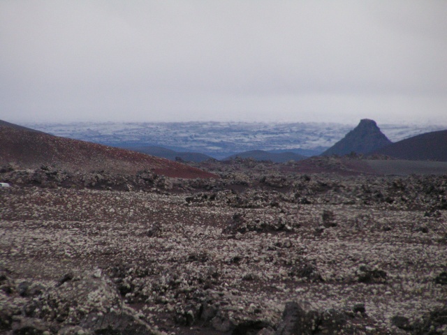 pict3648.jpg