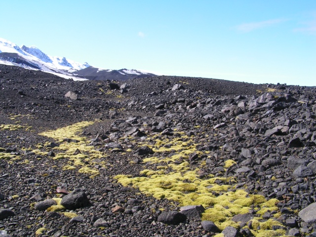 pict3689.jpg