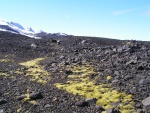 pict3689.jpg