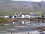 pict3708.jpg