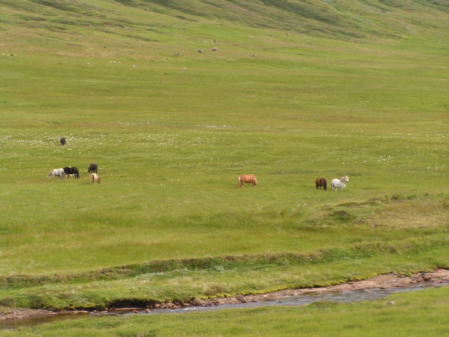 pict3722.jpg