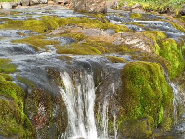 pict3735.jpg