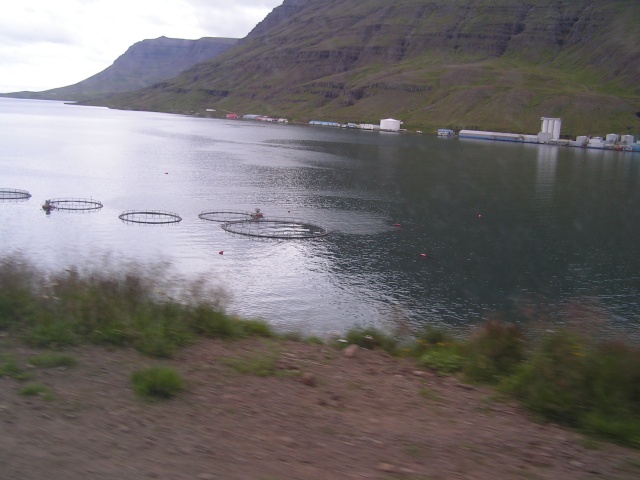 pict3744.jpg