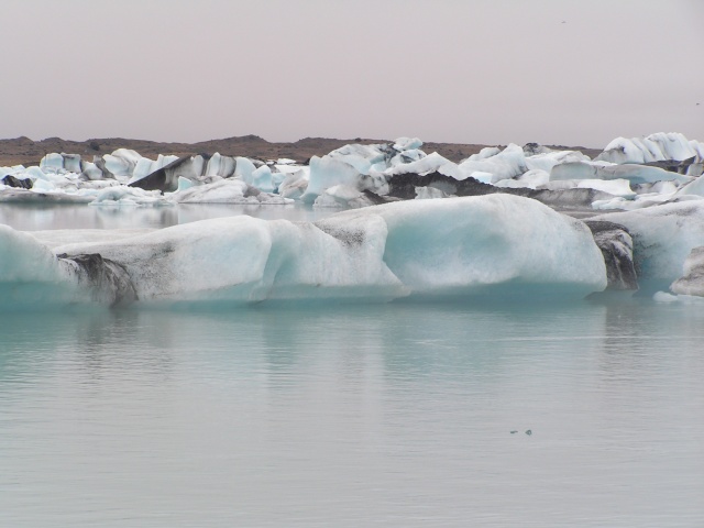 pict3762.jpg
