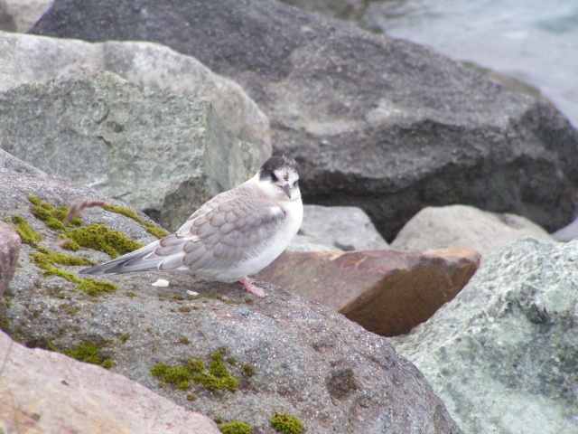 pict3795.jpg