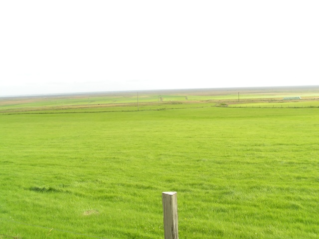 pict3815.jpg