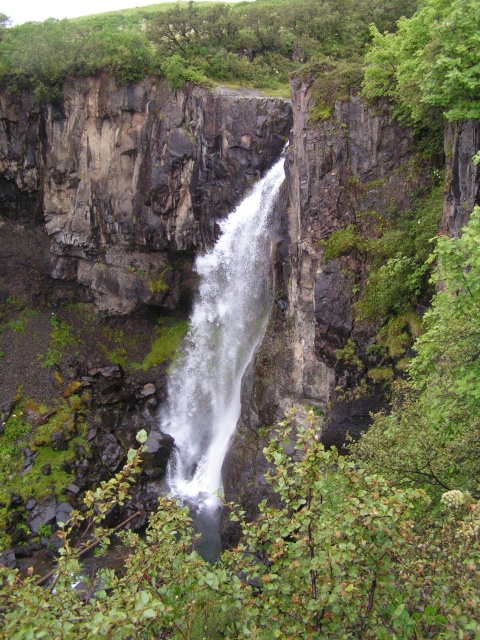 pict3820.jpg