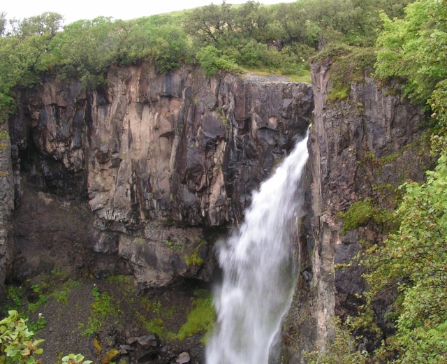 pict3821.jpg
