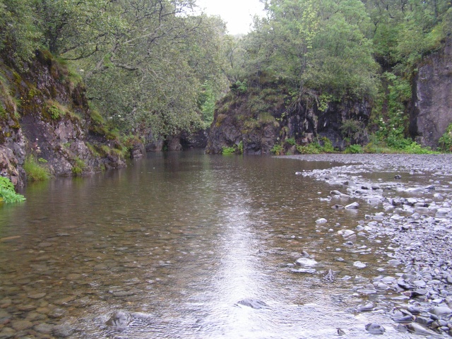 pict3875.jpg