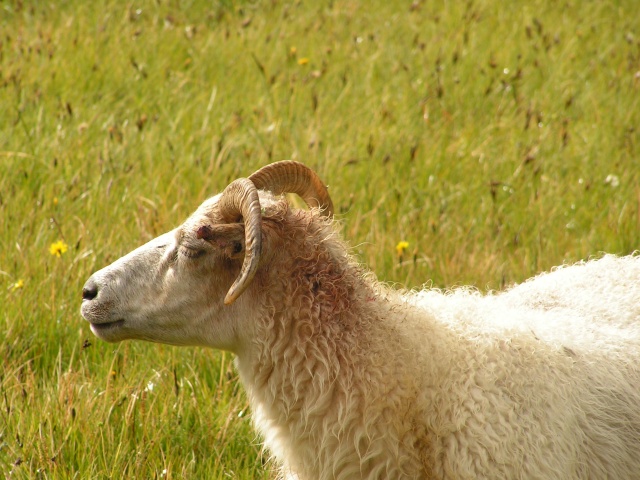 pict3891.jpg