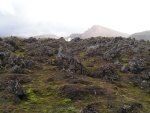pict3896.jpg