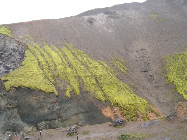 pict3902.jpg