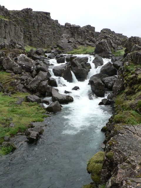 P1010303