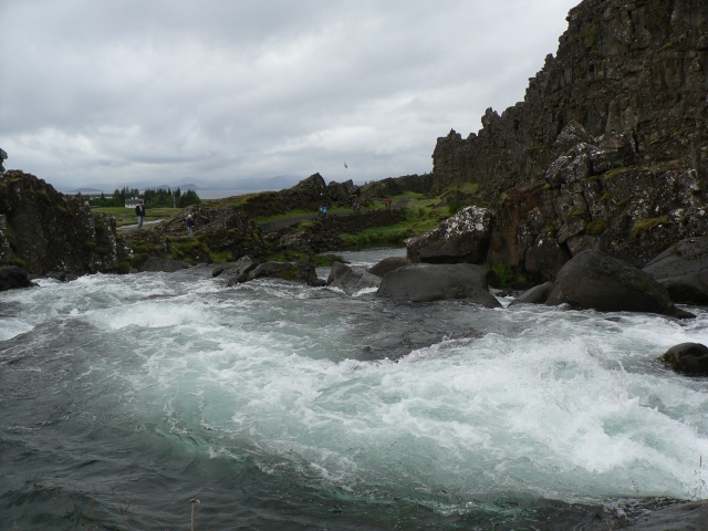 P1010304
