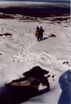 Crevass