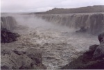 RapitoDallaSelvaggiaBellezzaDiSelfoss